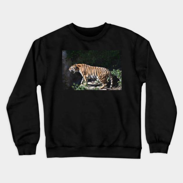 Roaring Tiger Crewneck Sweatshirt by MarieDarcy